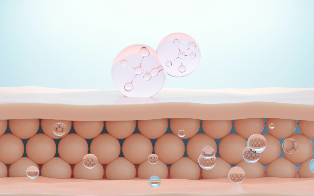 Why Absorption Matters: The Hidden Key to Effective Health Support