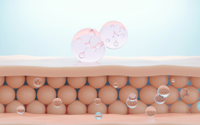 Why Absorption Matters: The Hidden Key to Effective Health Support