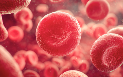 Understanding Cellular Health: Why It Matters for Long-Term Wellness