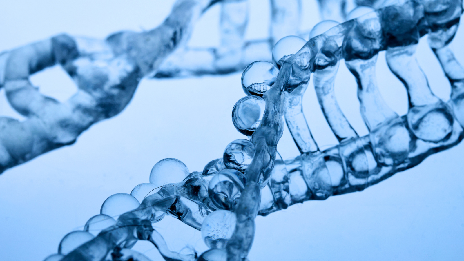 Cellular health