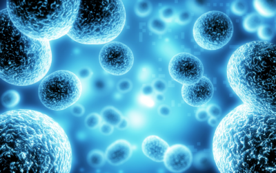 Peptides: The Tiny Messengers Behind the Body’s Natural Repair System